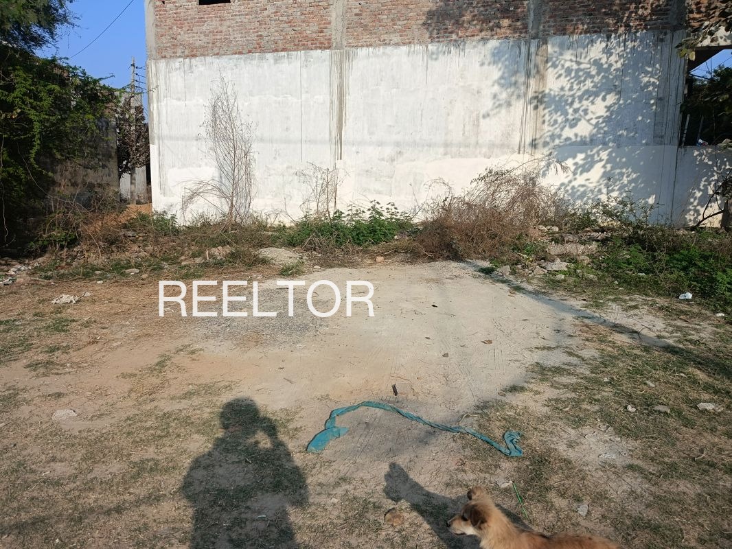 Plots For Sale In Ginri Patta Lohsana Churu