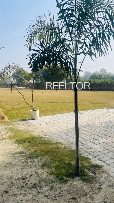 Plots For Sale In Barbaspur Lalbarra