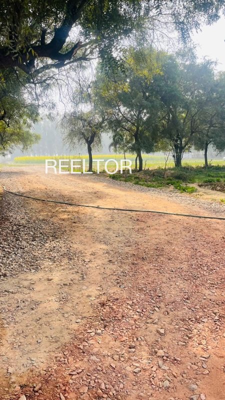 Plots For Sale In Deedawas Charnan Gudha Malani