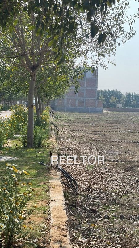 Plots For Sale In Khabra Khurja