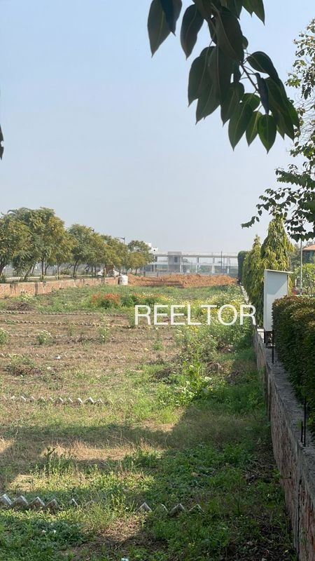 Plots For Sale In Ginri Patta Lohsana Churu