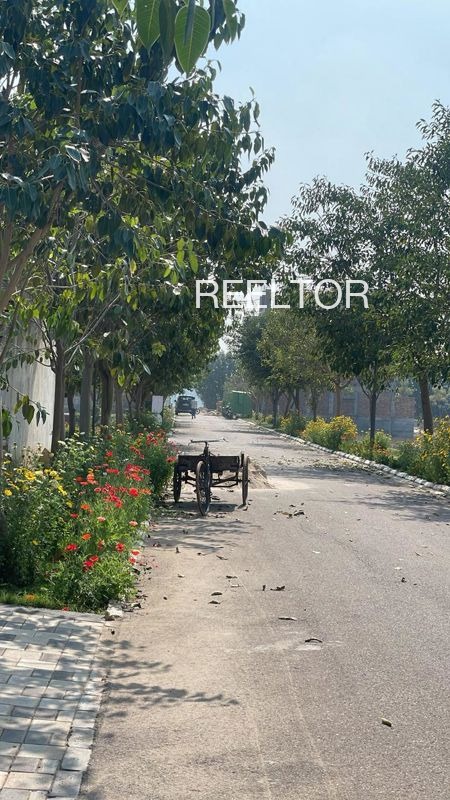 Plots For Sale In Chak Barauna Gohad