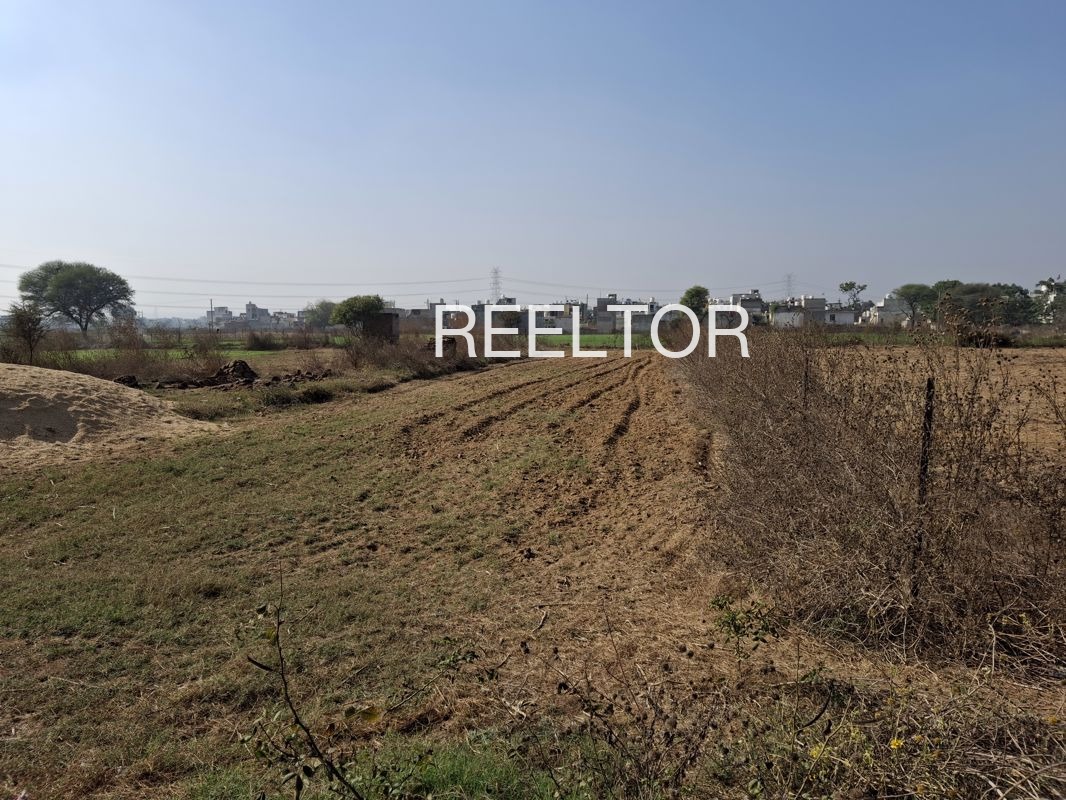 Plots For Sale In Tsokilpur Shangus