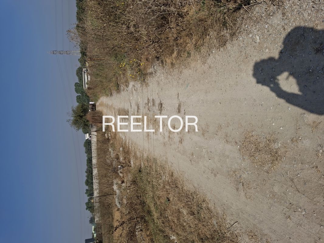 Plots For Sale In Khariya Swami Sojat