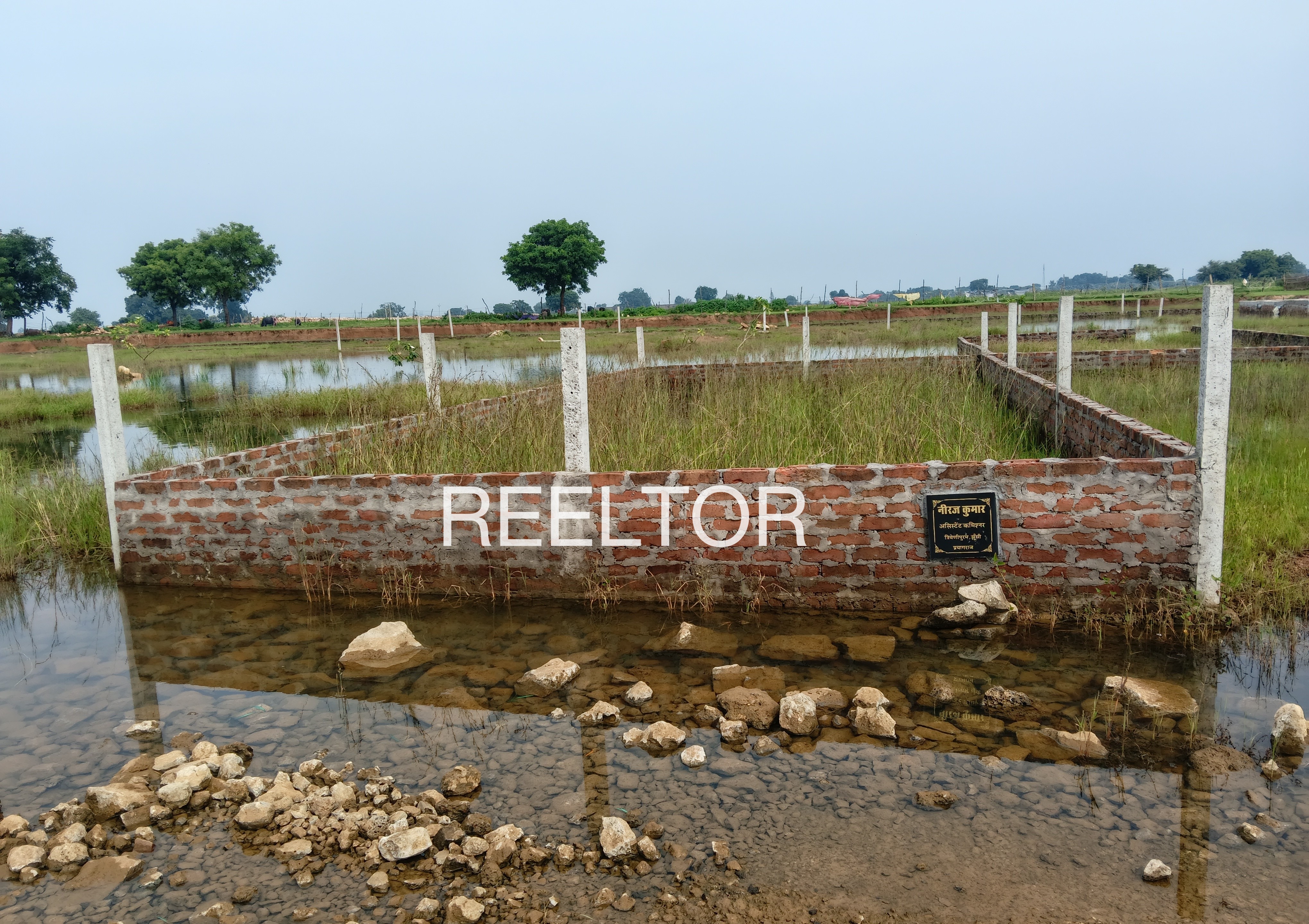 Plots For Sale In Kaluwa Chak Ashoknagar