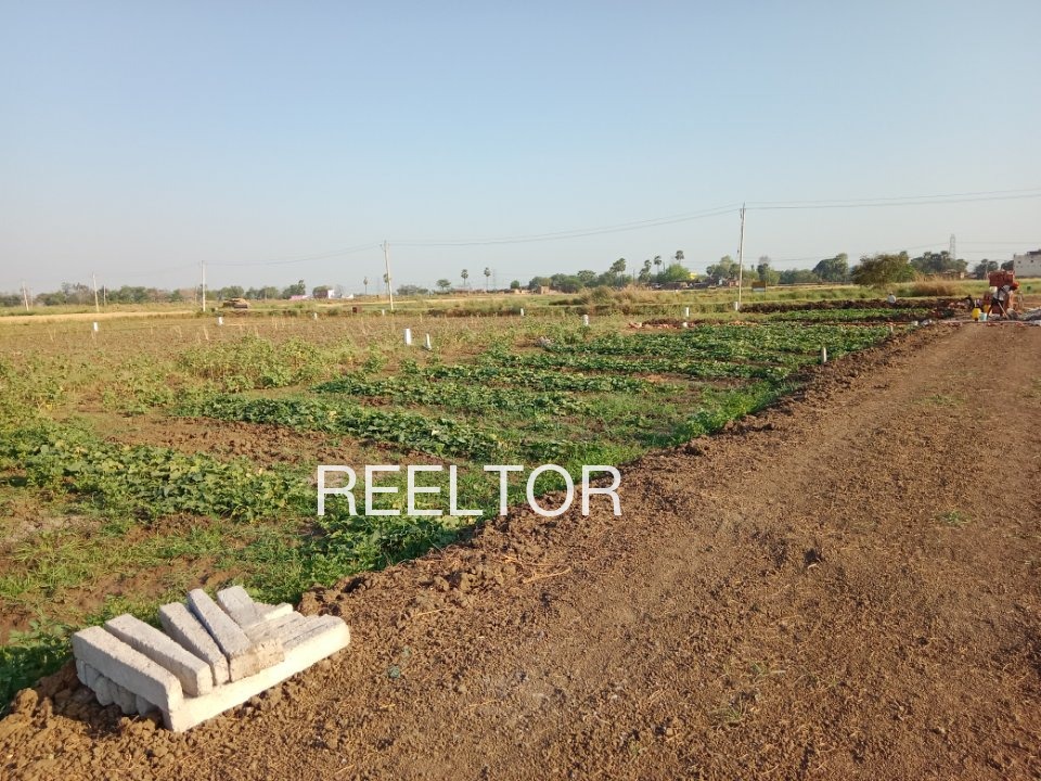 Plots For Sale In 1 Mk A Raisinghnagar
