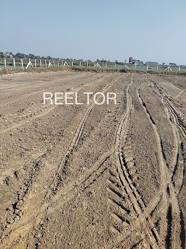 Plots For Sale In Gudadhi Akola