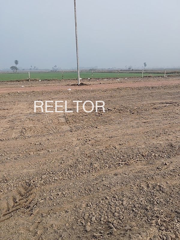 Plots For Sale In Beluratanda Jintur