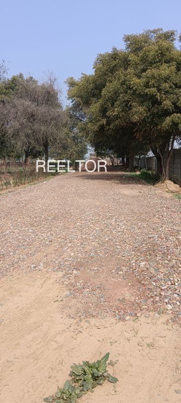 Plots For Sale In Kukudaguda Malkangiri