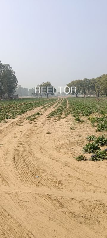 Plots For Sale In Khabra Khurja