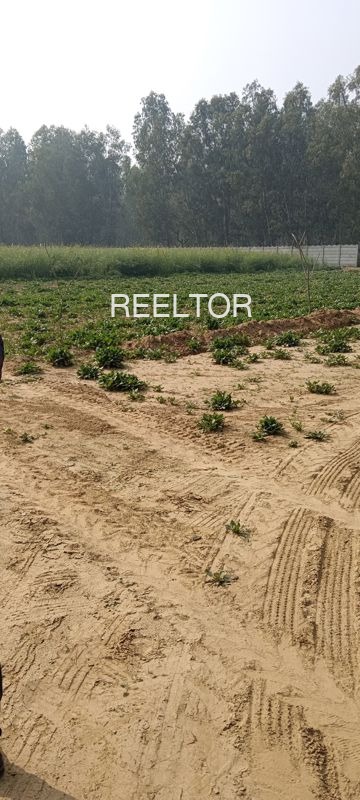 Plots For Sale In Bamhanbai Hazaribagh