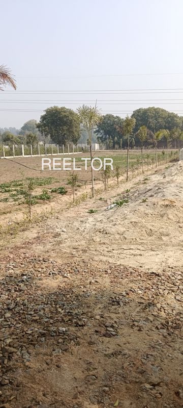 Plots For Sale In Chhitapal Majholi