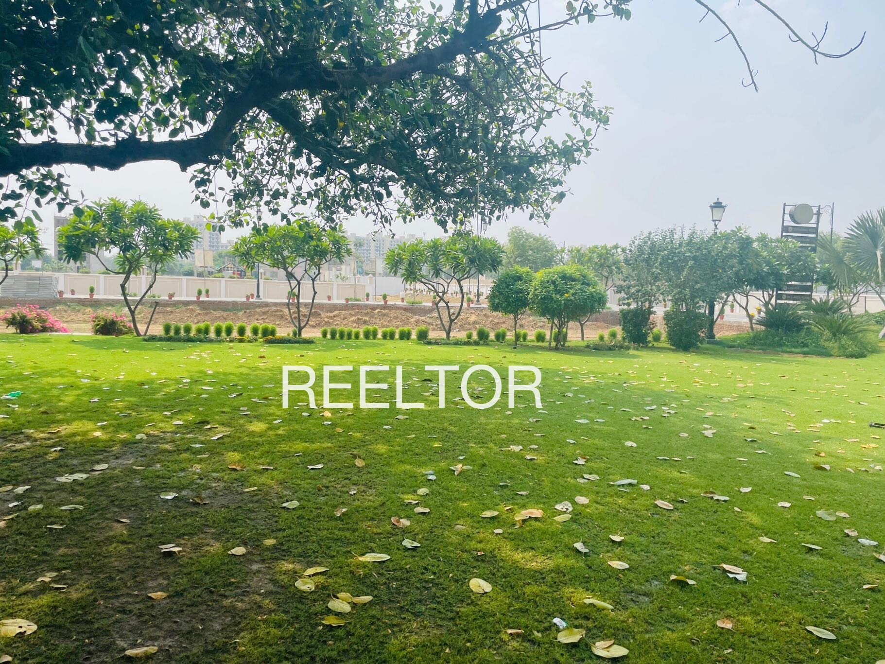 Plots For Sale In Sunwali Chorasi