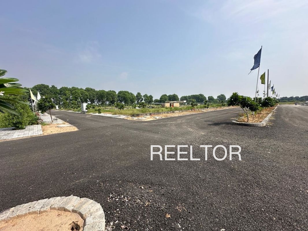 Plots For Sale In Bolari Patiala