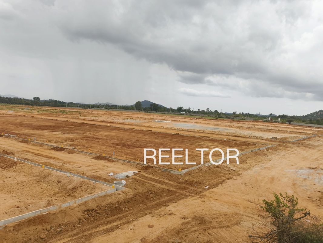 Plots For Sale In Thekkil Kasaragod