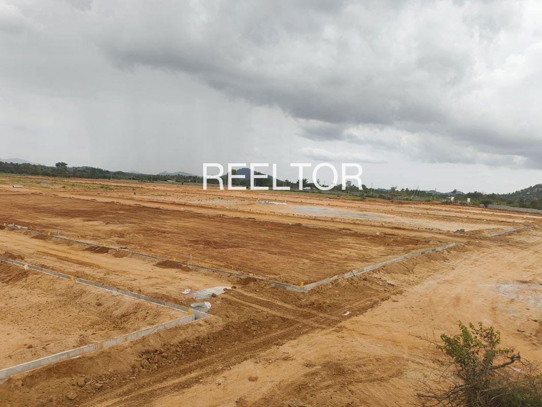 Plots For Sale In Darh Chachyot