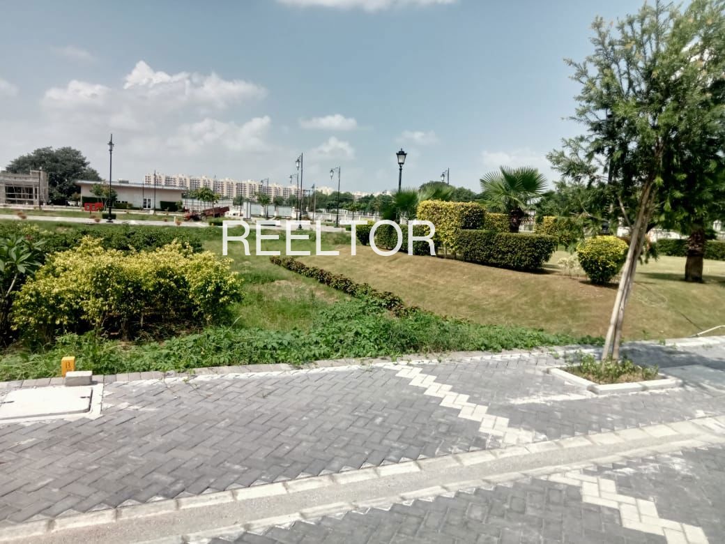 Plots For Sale In Mallu Wala Zira