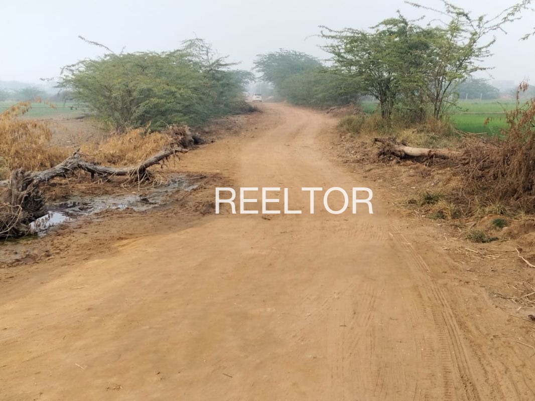 Plots For Sale In Kokri Phula Singh Moga