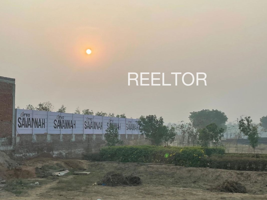 Plots For Sale In Mallu Wala Zira