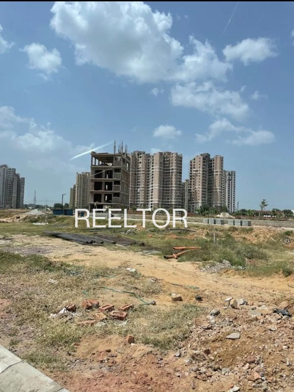 Plots For Sale In Harduwa Biyarama Simariya