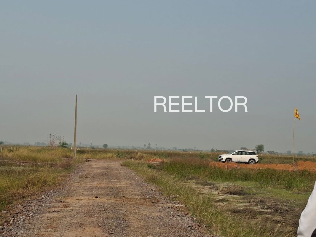 Plots For Sale In Kanesar Niwai