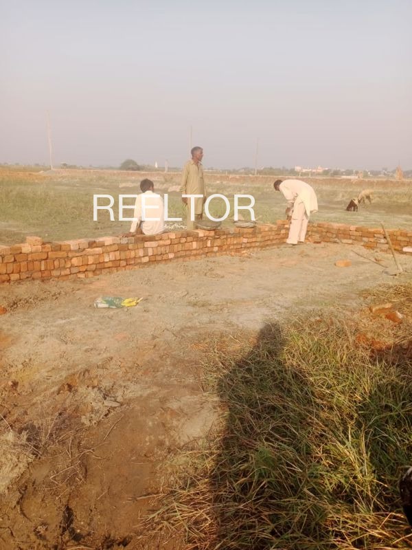 Plots For Sale In Berang Sundarnagar