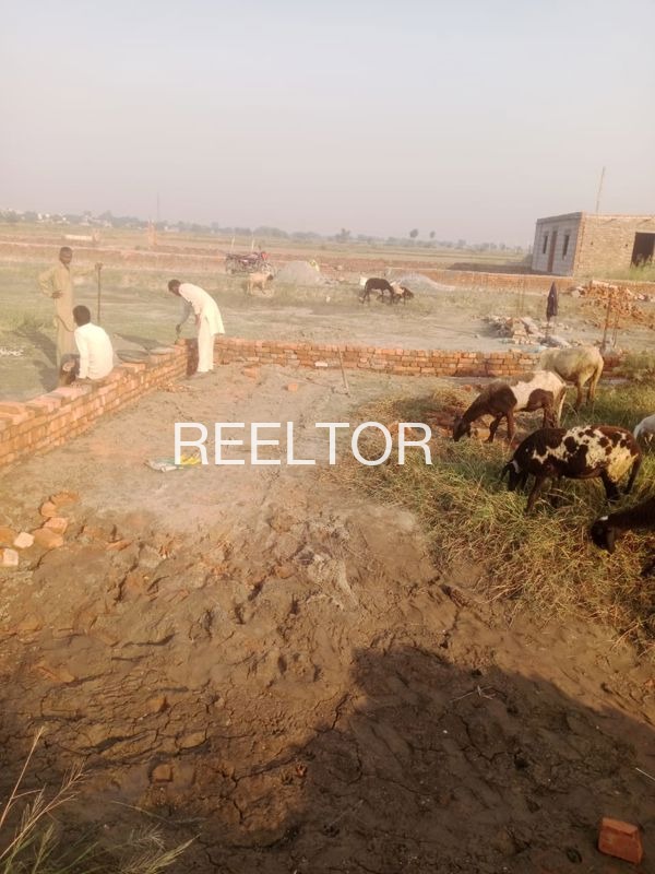 Plots For Sale In Bhanisar Tejsihotan Sujangarh