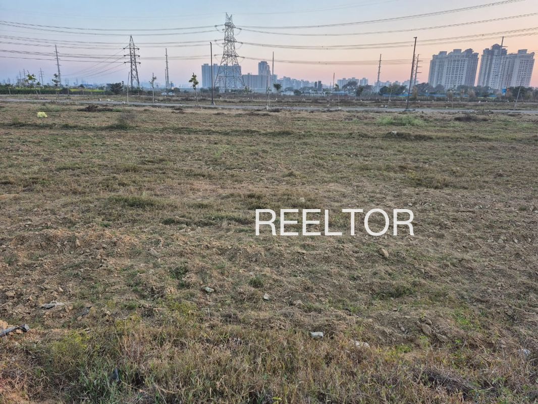 Plots For Sale In Takhatpur Malhargarh