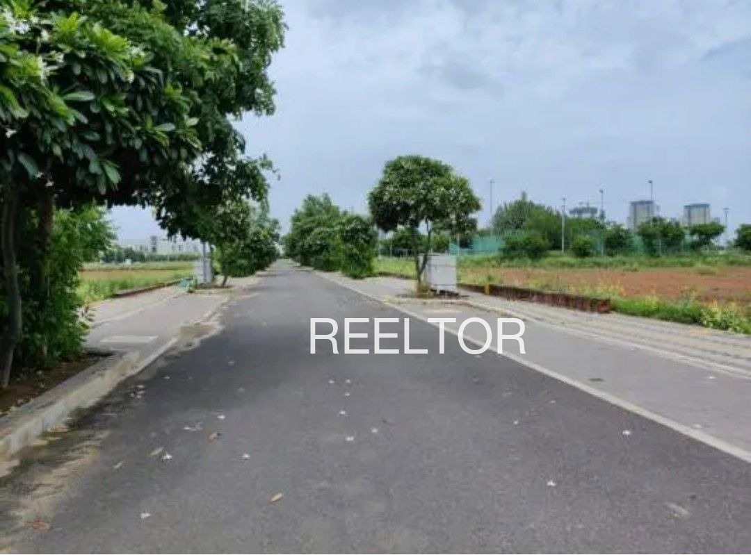 Plots For Sale In Barahtha Majhgawan