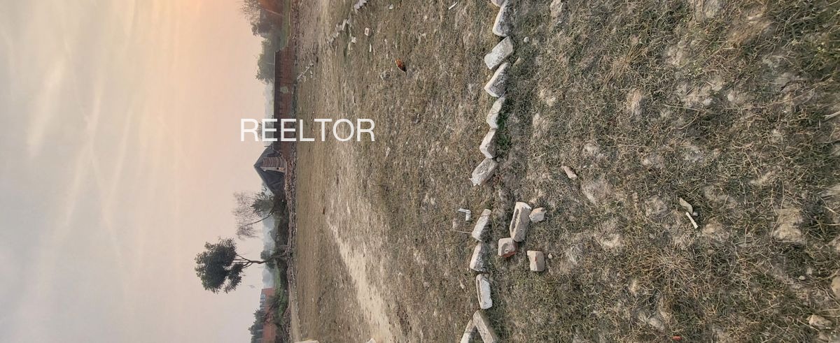 Plots For Sale In Bahadurgarh Jandian Bathinda