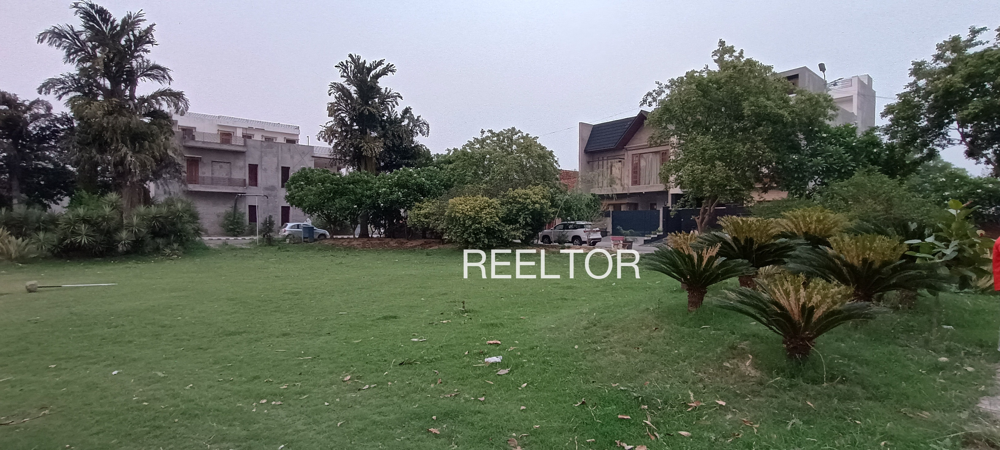 Plots For Sale In Dharora Ghuwara