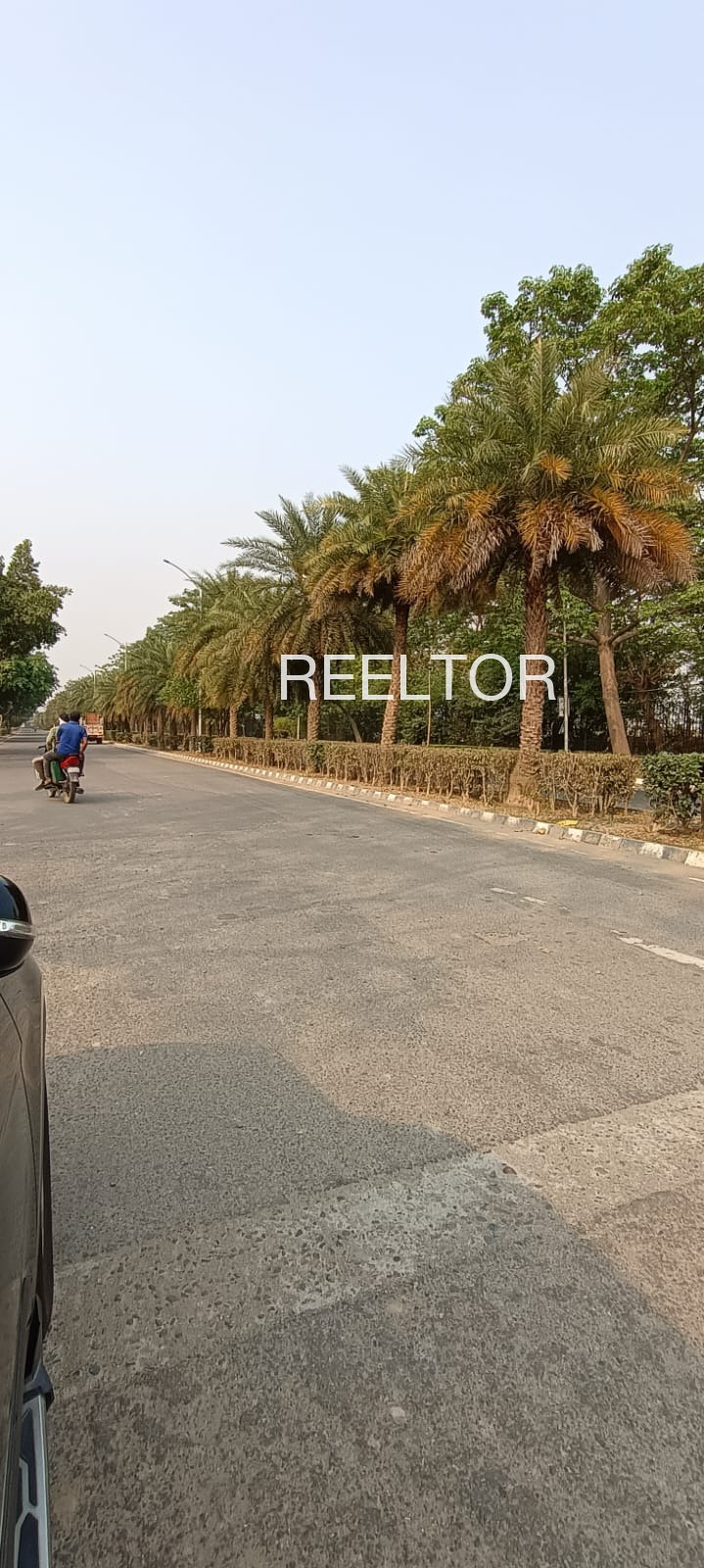 Plots For Sale In Donamaradi Siravarau