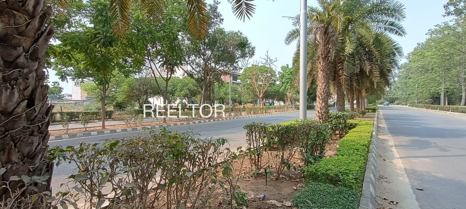 Plots For Sale In Darh Chachyot