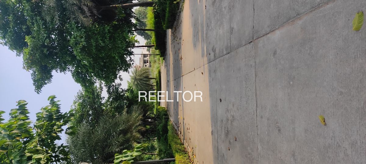 Plots For Sale In Kot Faridabad