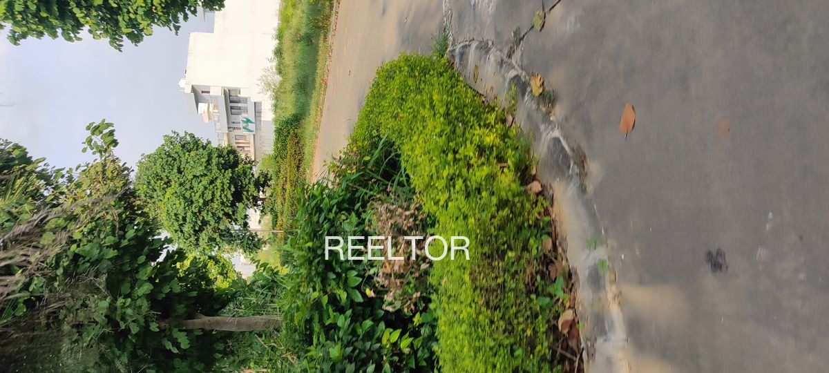 Plots For Sale In Kasal Hathnoora