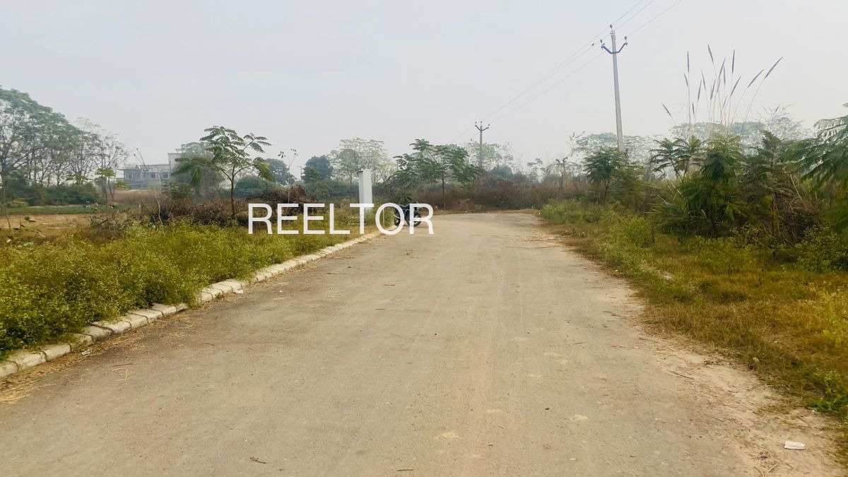 Plots For Sale In Harigarh Dalipsingh Haldwani