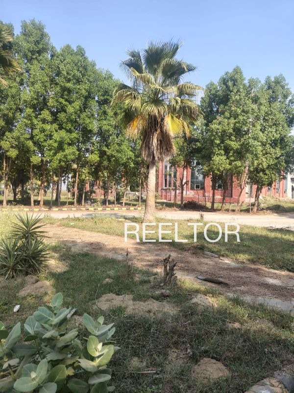 Plots For Sale In Dhanmundipahar Barhait