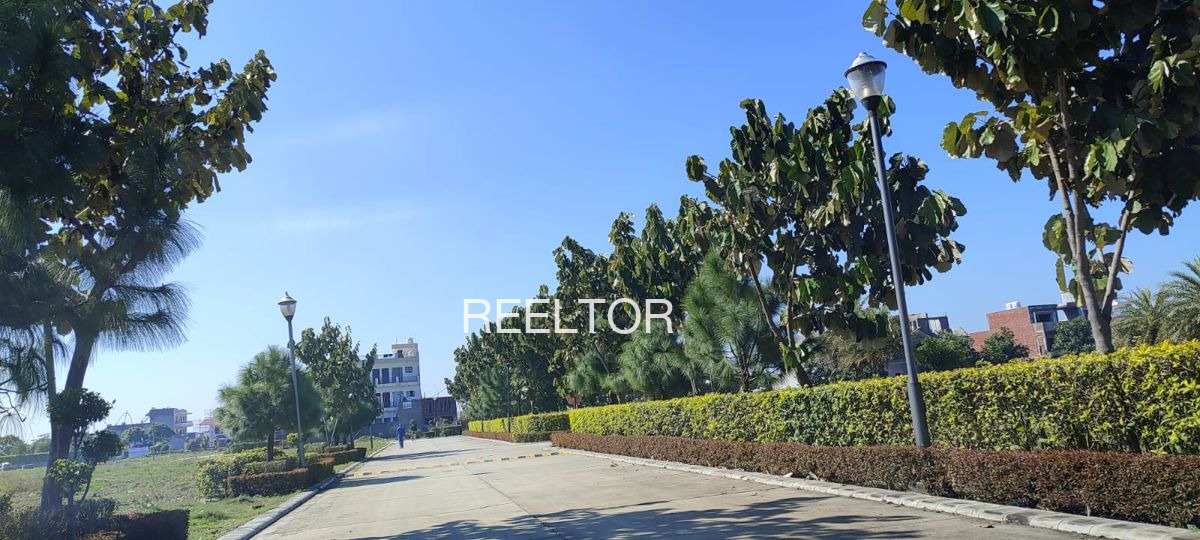 Plots For Sale In Bhanisar Tejsihotan Sujangarh