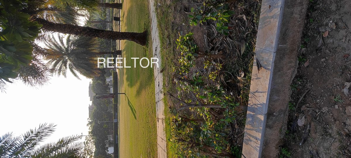 Plots For Sale In Dhutakhedi Alot