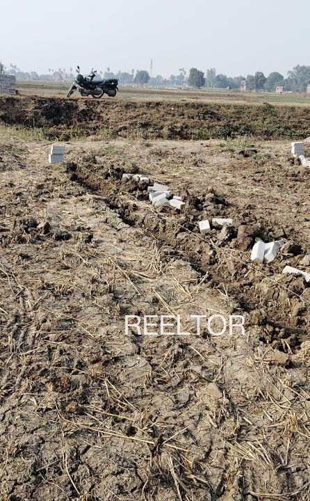 Plots For Sale In Tsokilpur Shangus