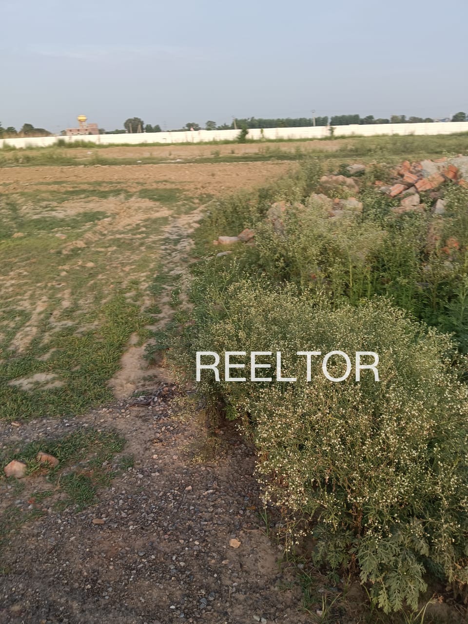 Plots For Sale In Multani Tanda Ambejogai