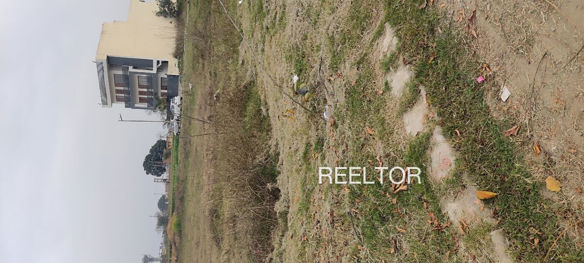 Plots For Sale In Nandi Chachyot