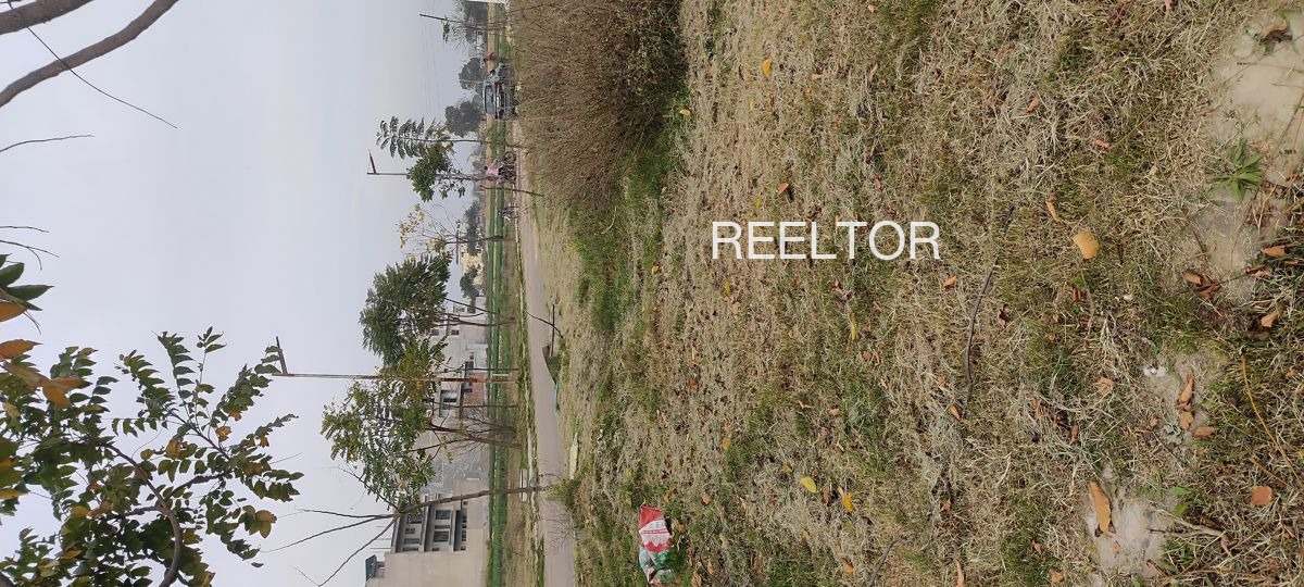 Plots For Sale In Bhedog Saluni