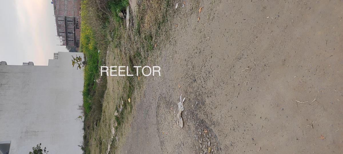 Plots For Sale In Khireshwar Junnar