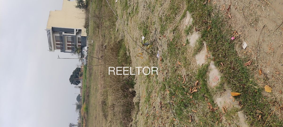 Plots For Sale In Sangura Haveriu