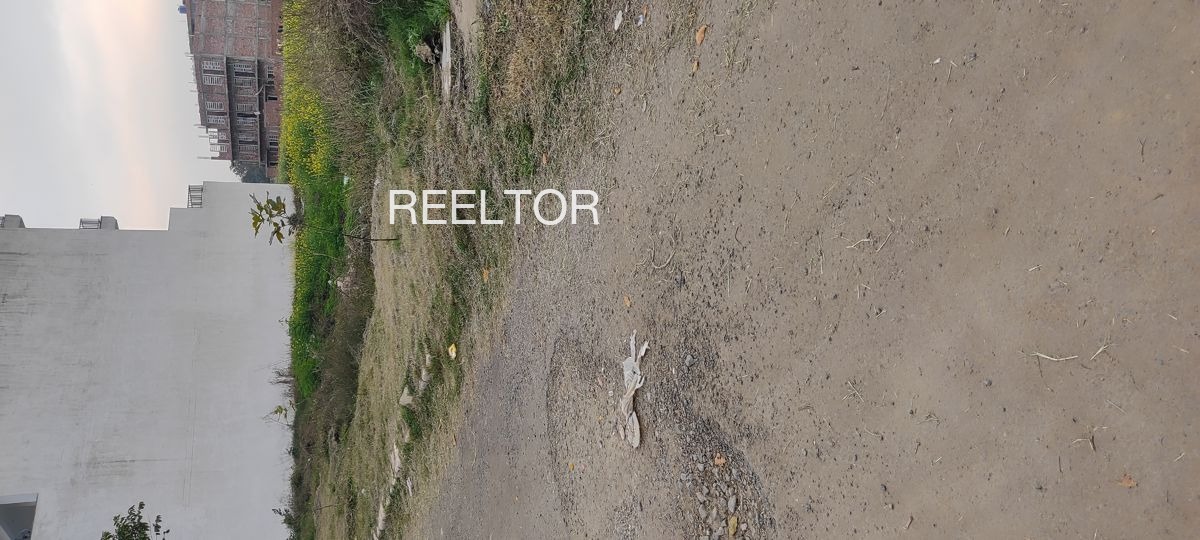 Plots For Sale In Chak Lakshmipur Kulpi