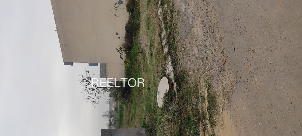 Plots For Sale In Baghele Wala Zira