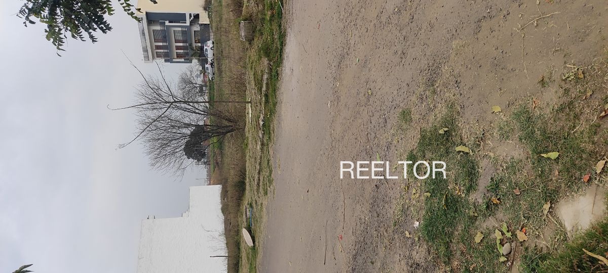 Plots For Sale In Pemawala Rajgarh