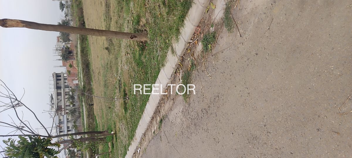 Plots For Sale In Rai Singhwala Bhawanigarh