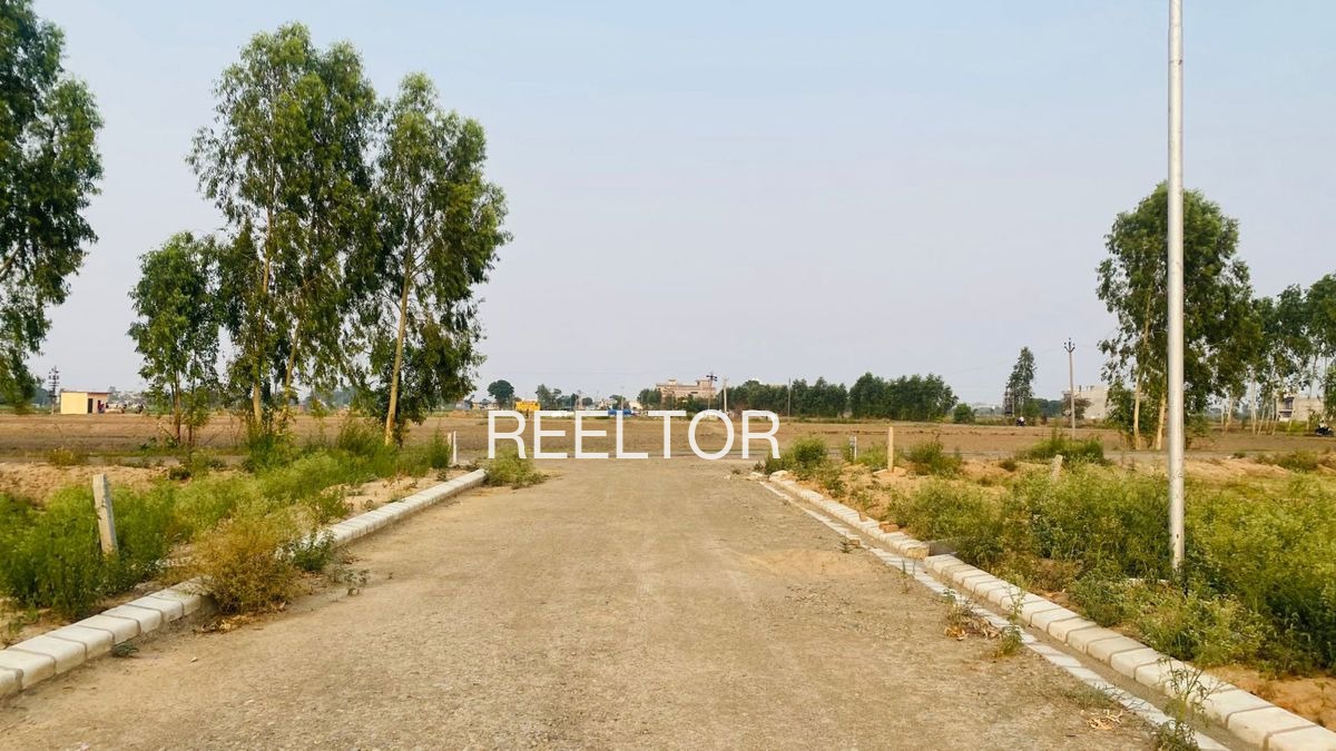 Plots For Sale In Mandiyai Kalan Tinwari